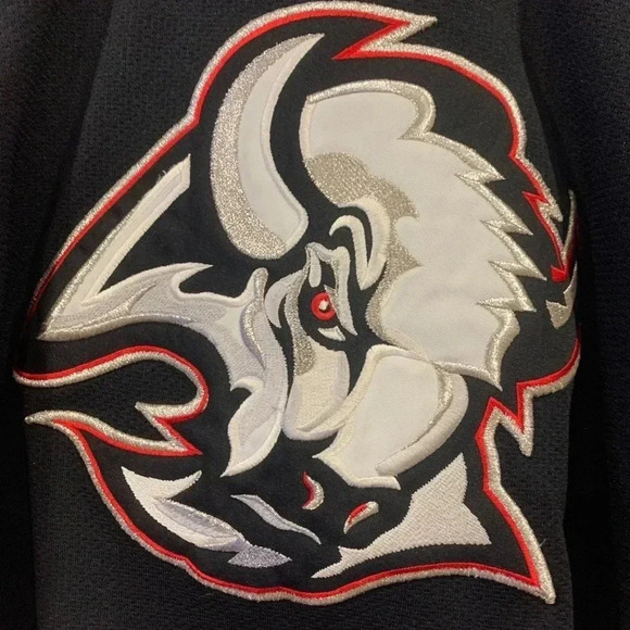 Vtg Buffalo Sabres Anderson Starter NHL Jersey - Picture 3 of 11